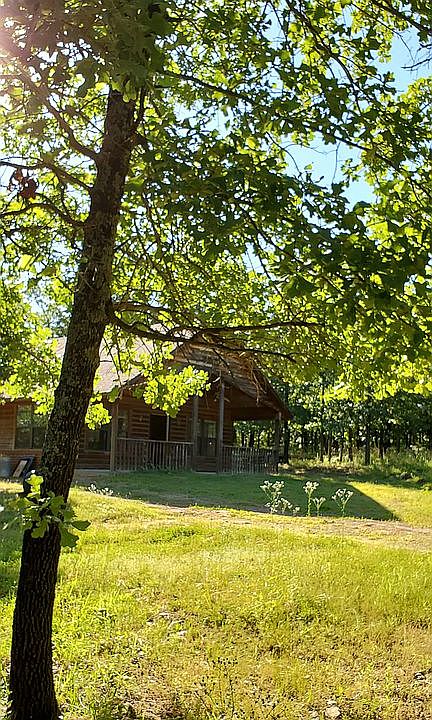 10 Wooded Acres 