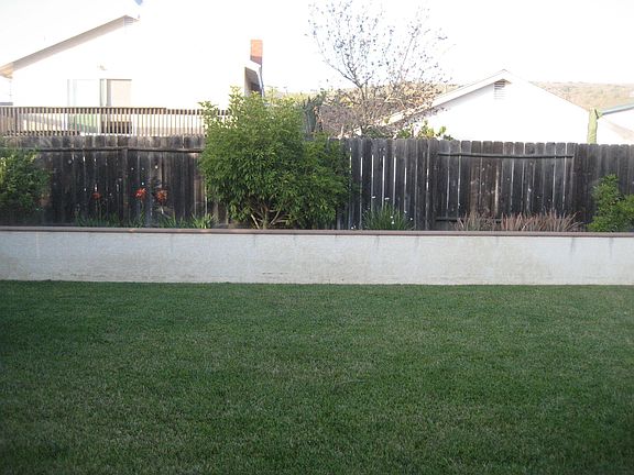 Grass with raised planter