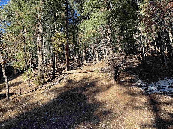 3rd image of 479 Hay Canyon Rd