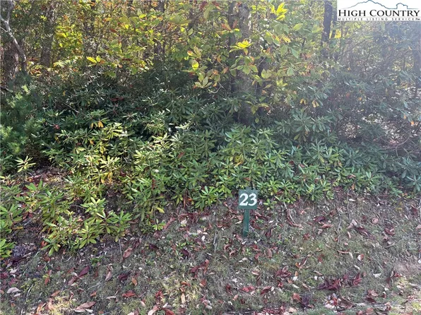TBD Fishers Peak View, Ennice, NC 28623