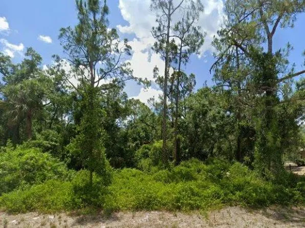 2117 IRVING Avenue, Alva, FL 33920