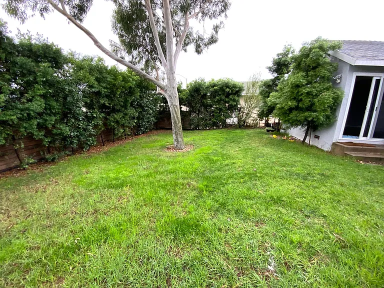 5306 Carmelynn St — Photo 3