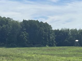 Par A Backus Rd NW, Lakeview, MI 48850