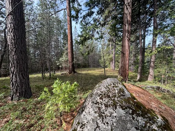 245 Heron Ct, Avery, CA 95224