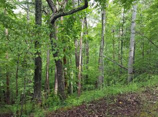 0 Cedar Bluff Ln #9, Hardy, VA 24101