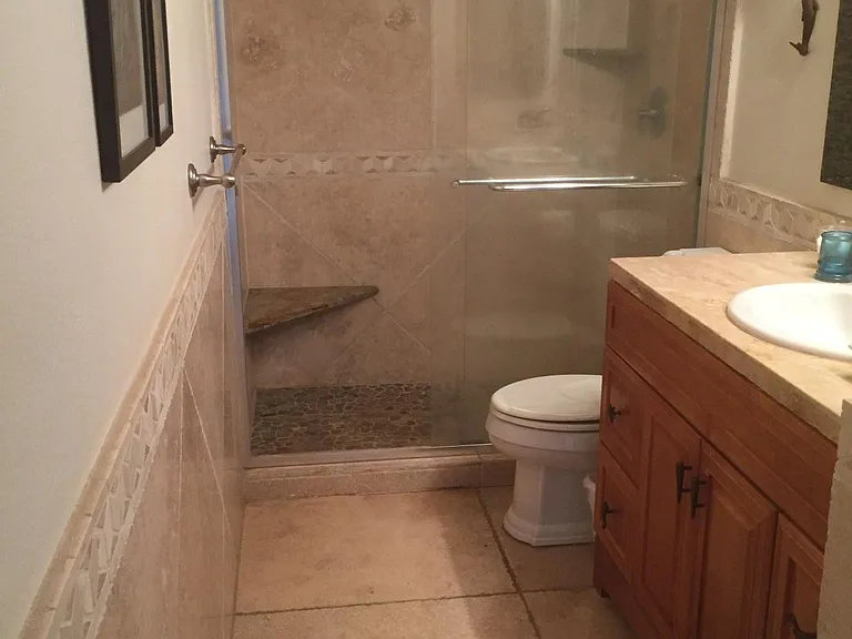 Hall bathroom with walk-in shower.
