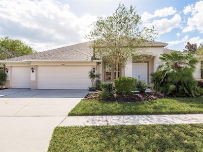 8817 Crystal Creek Ct, Land O Lakes, FL, 34638