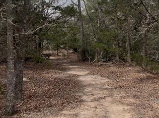 10 Old Potato Rd, Paige, TX 78659