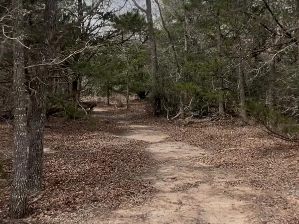 10 Old Potato Rd, Paige, TX 78659