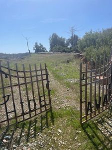 5839 Old Emigrant Trl, Mountain Ranch, CA, 95246