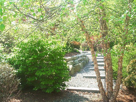 Granite steps to pool