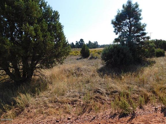 5th image of 2769 Sunflower Dr Lot 203