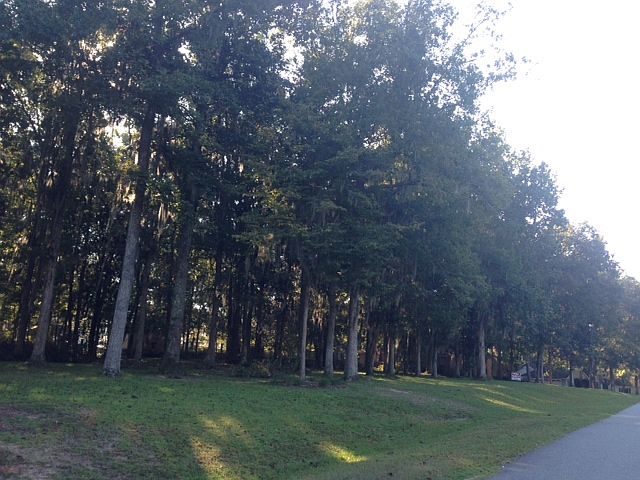 1st image of Golden Oaks Drive