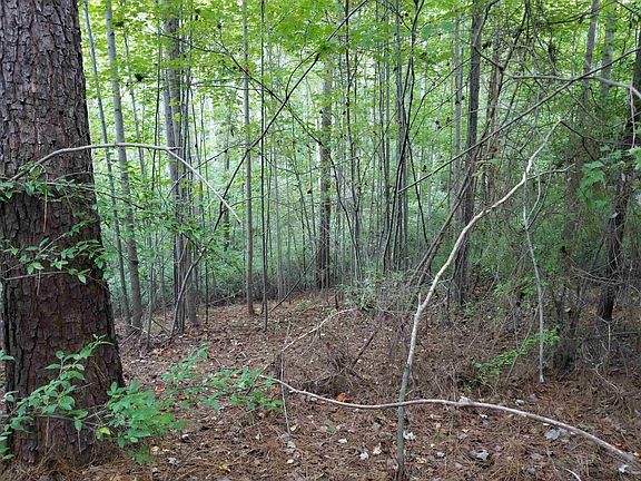 5th image of 4 Brandon Pines Ct #236