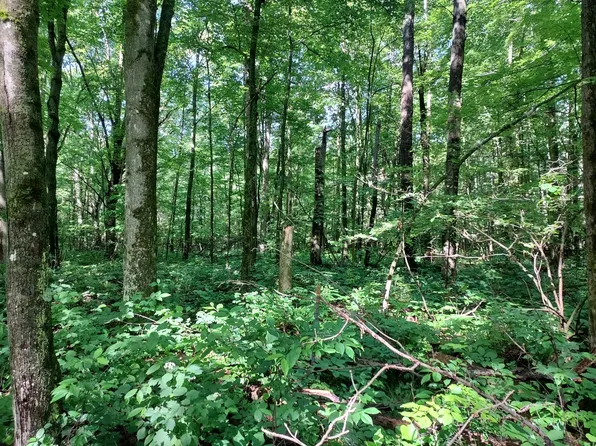 11930 90th Ave, Evart, MI 49631