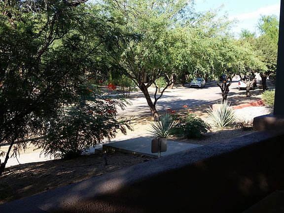 Front Street View from Patio