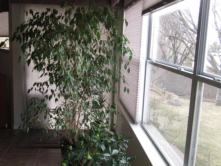 8805 Fremont Ellis Ct NE — Photo 7