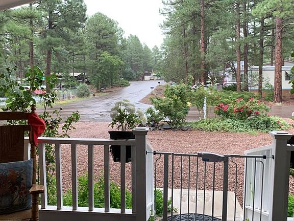 View to East from porch