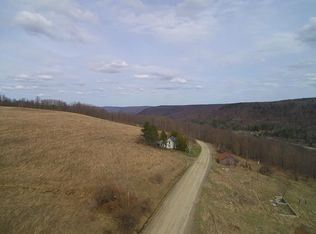 7831 Knowles Rd, Campbell, NY 14821