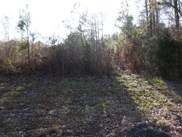 2nd image of 4604 Arkwright Rd