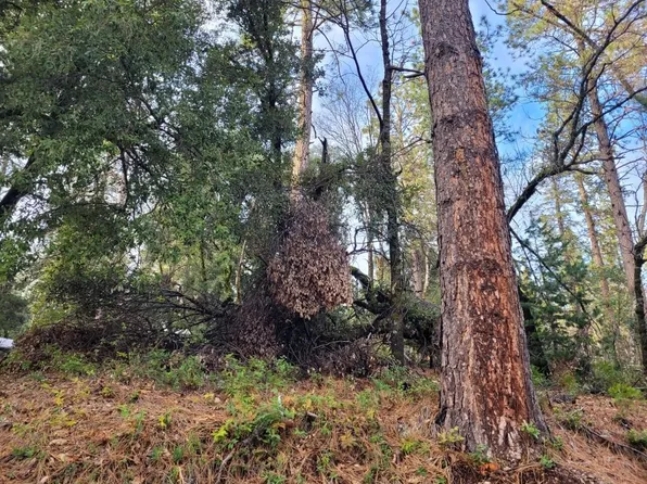 15016 Stinson Dr, Grass Valley, CA 95949