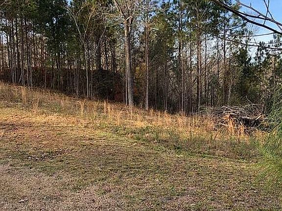 Left of restricted lot