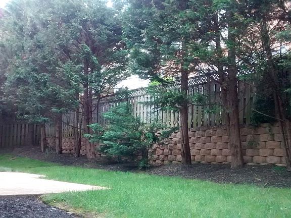 Back Patio