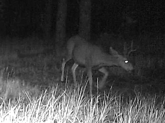 2nd image of 24210 W County Road 74e