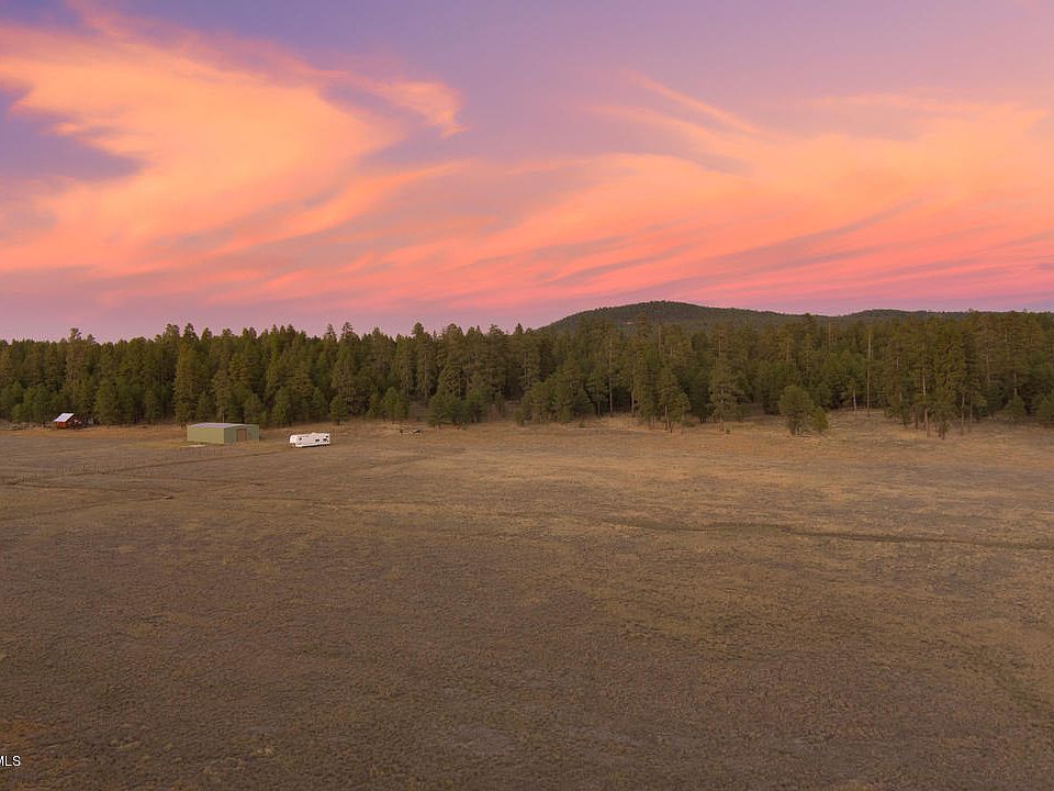 3137 Forest Service 91c Rd, Mormon Lake, AZ 86038 Zillow