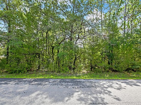 2nd image of 0 English Sparrow Rd