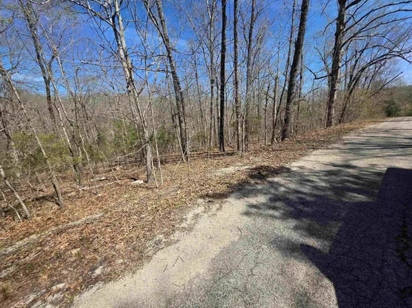 L-14 Oklahoma Cir #B, Cherokee Village, AR 72529