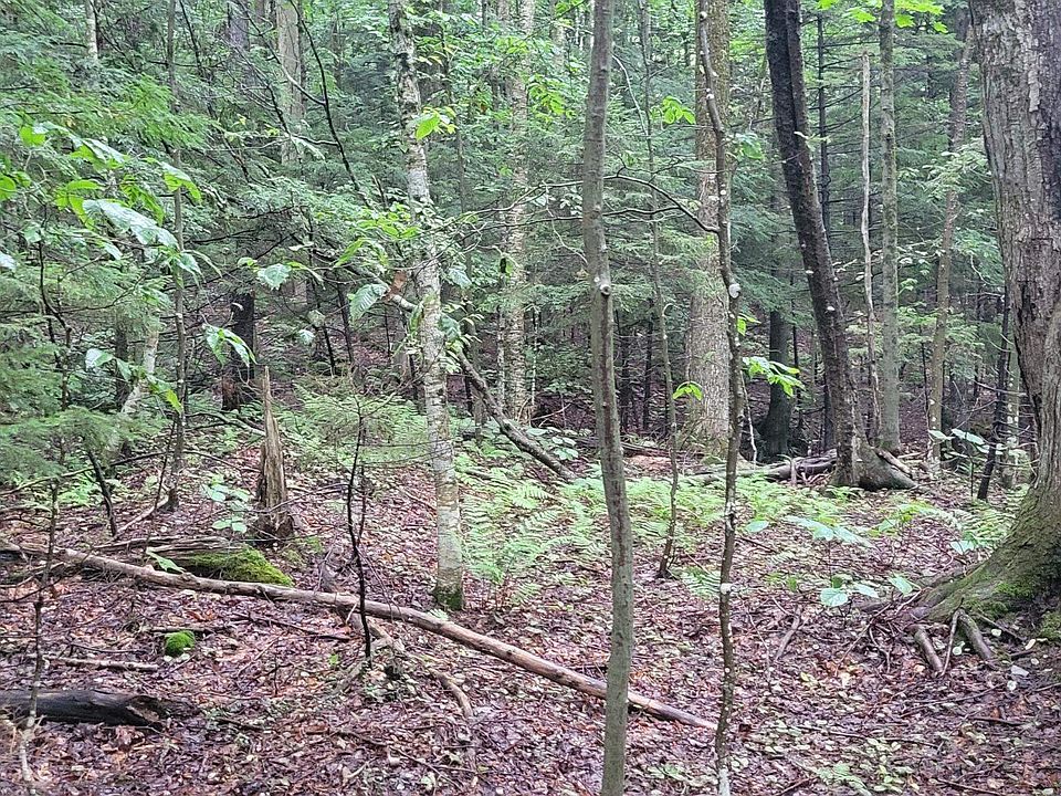 1st image of 00 Heartwellville View Road #69