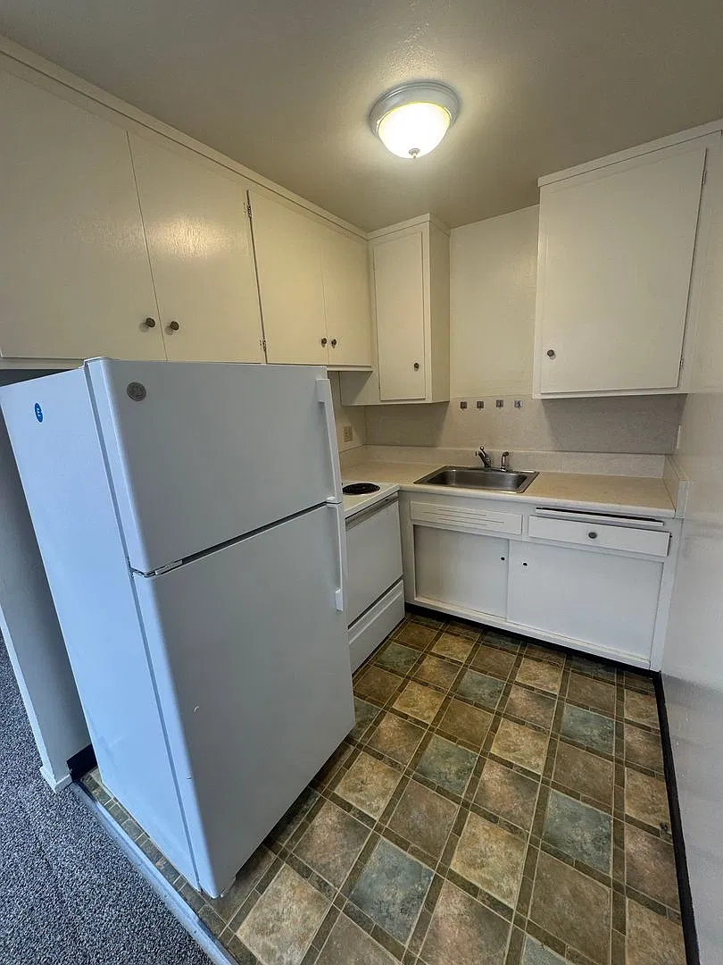 Spacious units in a great location by the RSF, Ellsworth at Haste St. - New Carpet! — Photo 2