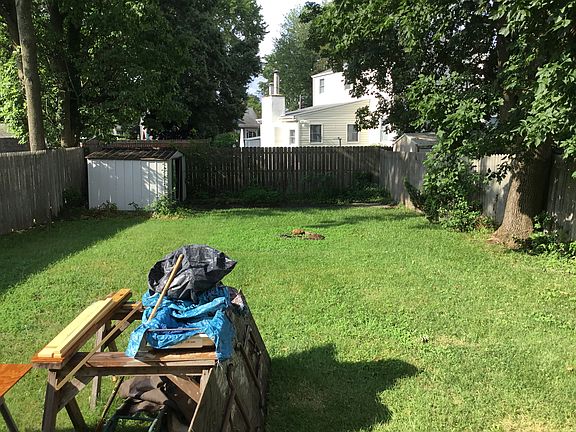 Back yard 