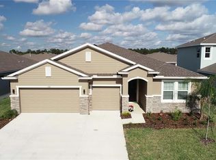3786 Autumn Amber Dr, Spring Hill, FL 34609