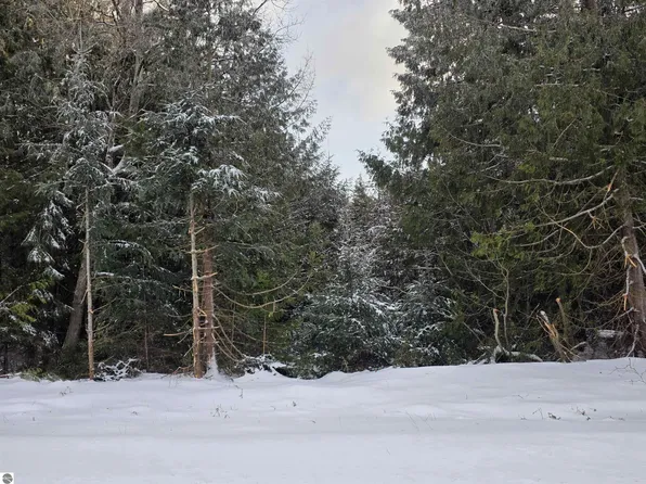 0 Arrowhead Dr #934, Oscoda, MI 48750