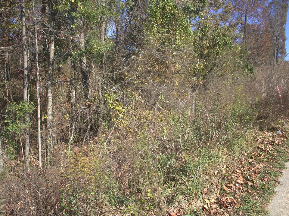 2nd image of 4525 Annistown Rd Lot 1