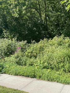MECHANIC Street, Amenia, NY, 12501