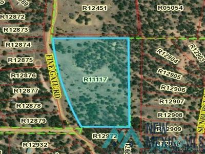 Five Gate Rd, Pinehill, NM, 87357