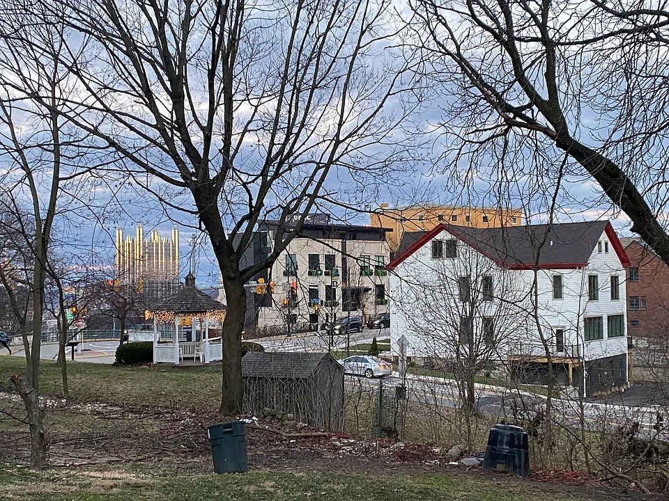 View from back yard showing downtown Pittsburgh past the McArdle Rdwy intersection. Near the backyard firepit