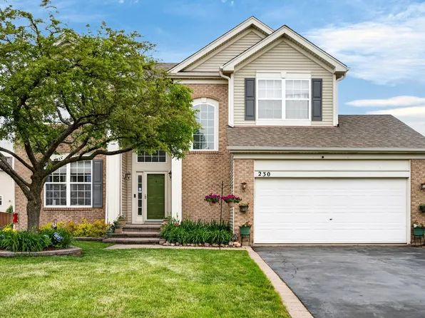230 Vail Ct, Gilberts, IL 60136