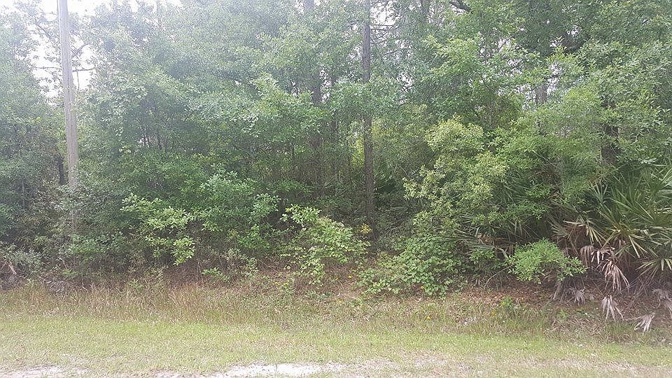 1st image of 4555 Clove Ave