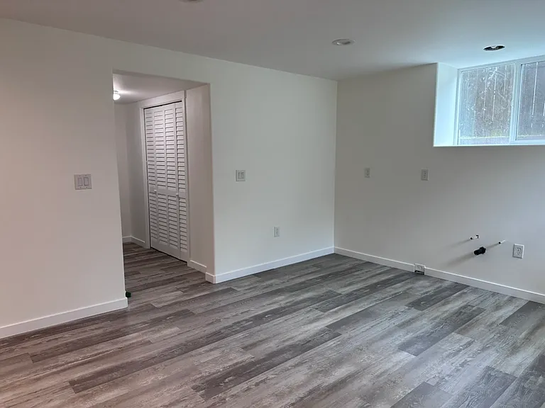 Basement living area