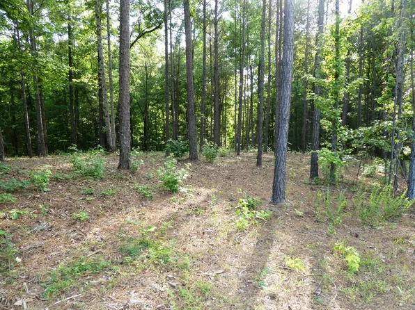 74 Harbor Light Trl, Jasper, AL 35504