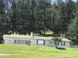 221 Montgomery St, Custer, SD 57730