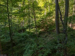 00 Sweet Hollow Road, Holland Twp., NJ 08848