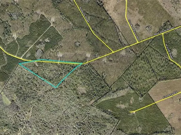 81002 Red Smith Rd, Woodbine, GA 31569