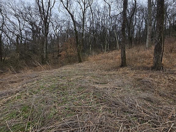 3rd image of 22241 Highway 64 W