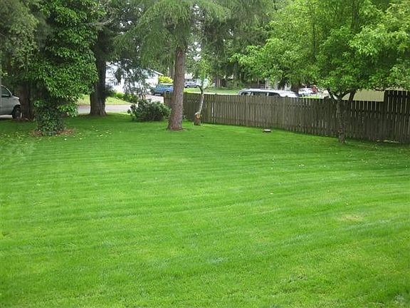 Front lawn from house