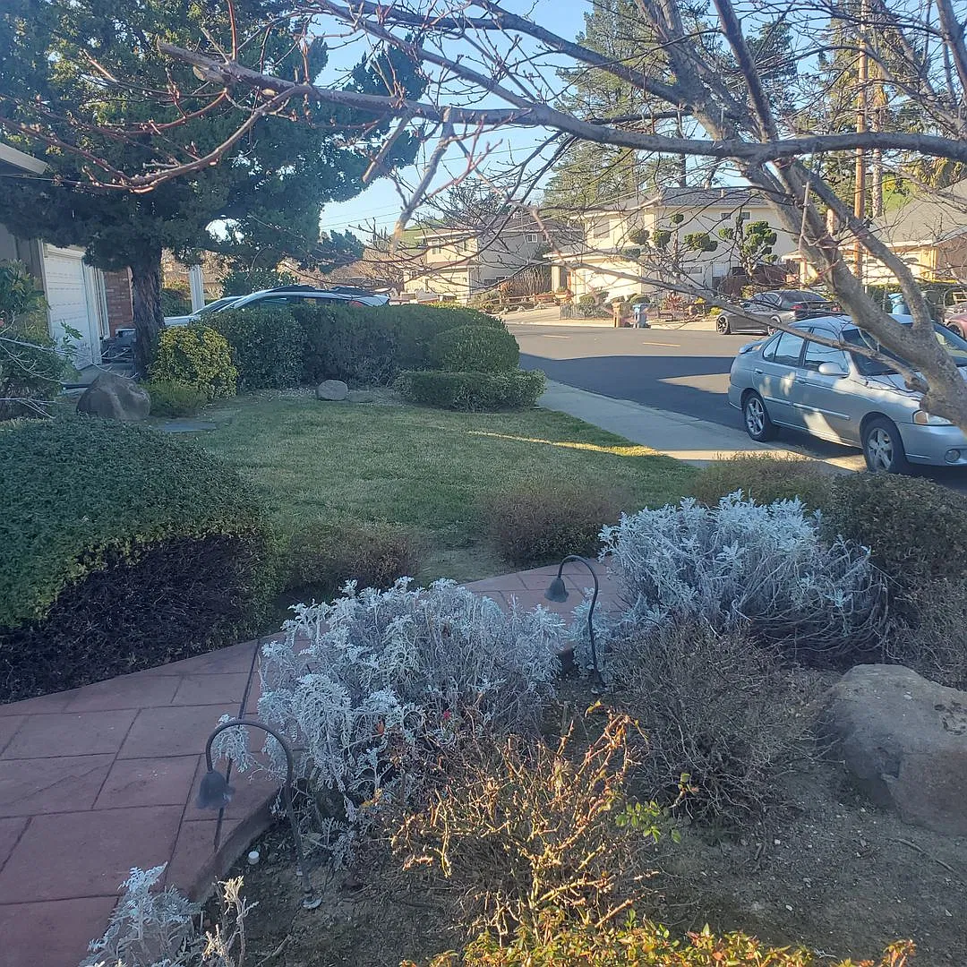 Classic 4/2 charmer in Martinez Virginia Hills Neighborhood — Photo 3